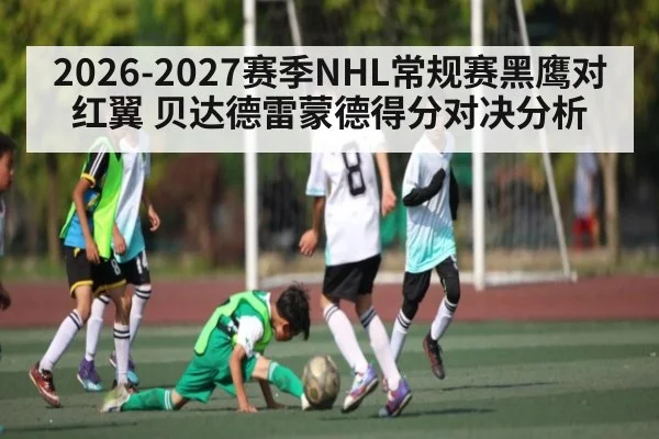 2026-2027赛季NHL常规赛黑鹰对红翼 贝达德雷蒙德得分对决分析