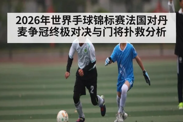 2026年世界手球锦标赛法国对丹麦争冠终极对决与门将扑救分析